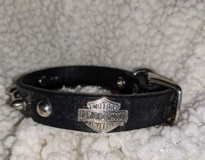 Small Harley-Davidson leather dog collar